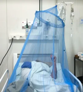 “شيكونغونيا” يطرق الأبواب.. تفشٍ واسع وتحذيرات صحية عالمية