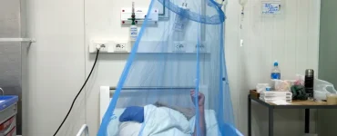 “شيكونغونيا” يطرق الأبواب.. تفشٍ واسع وتحذيرات صحية عالمية