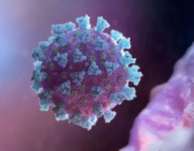 البقاء للمتحور!