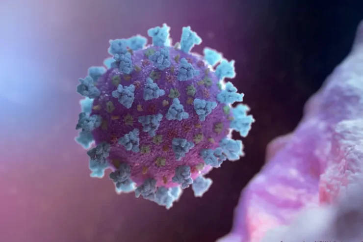 البقاء للمتحور!